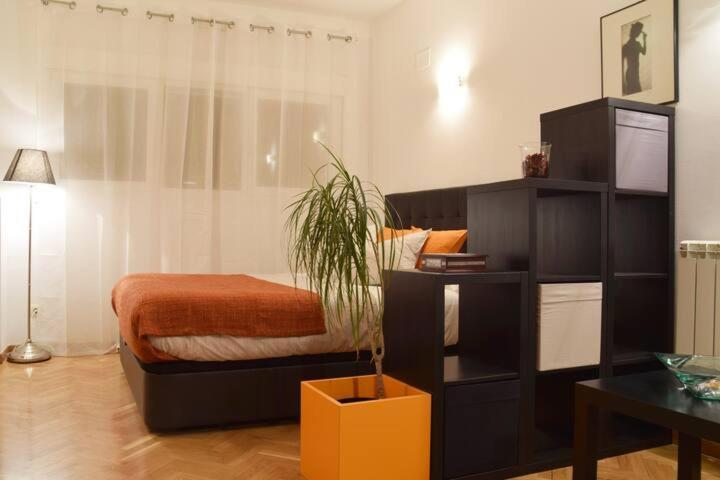 Estudio Acogedor Y Luminoso Διαμέρισμα Μαδρίτη Εξωτερικό φωτογραφία